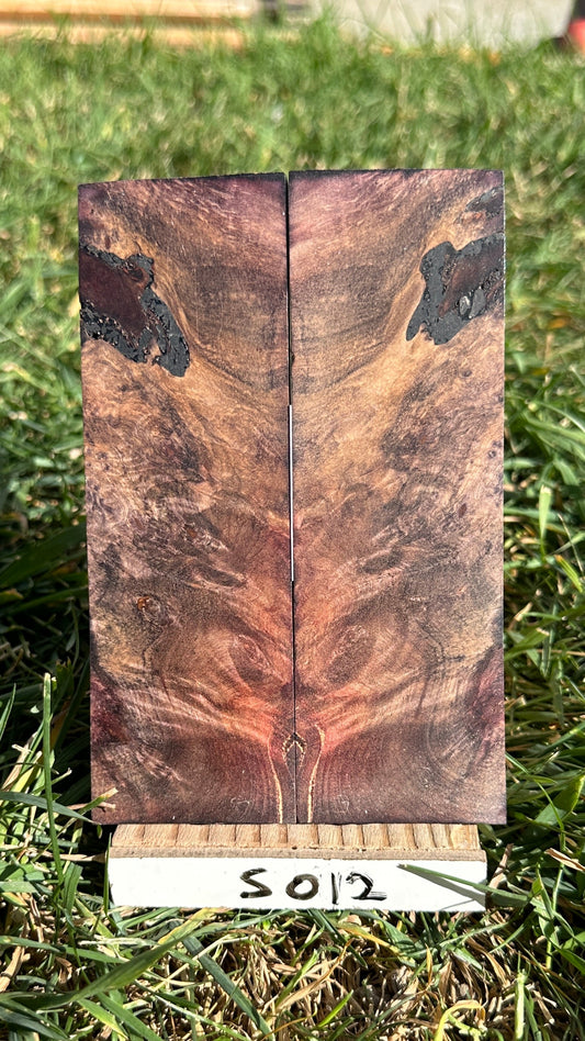 maple-scales-s012