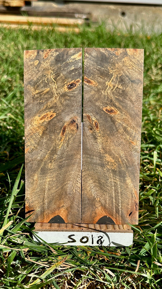 buckeye-scales-s018