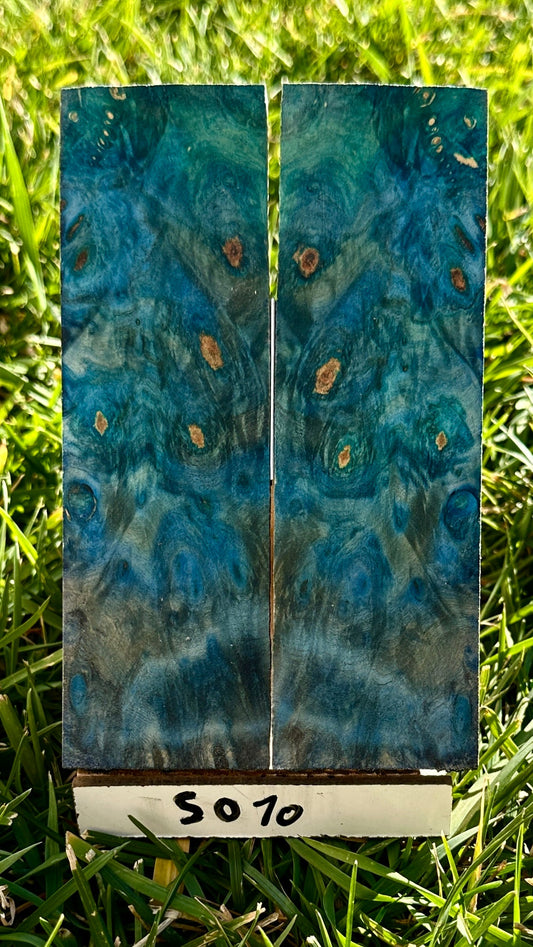 buckeye-scales-s070