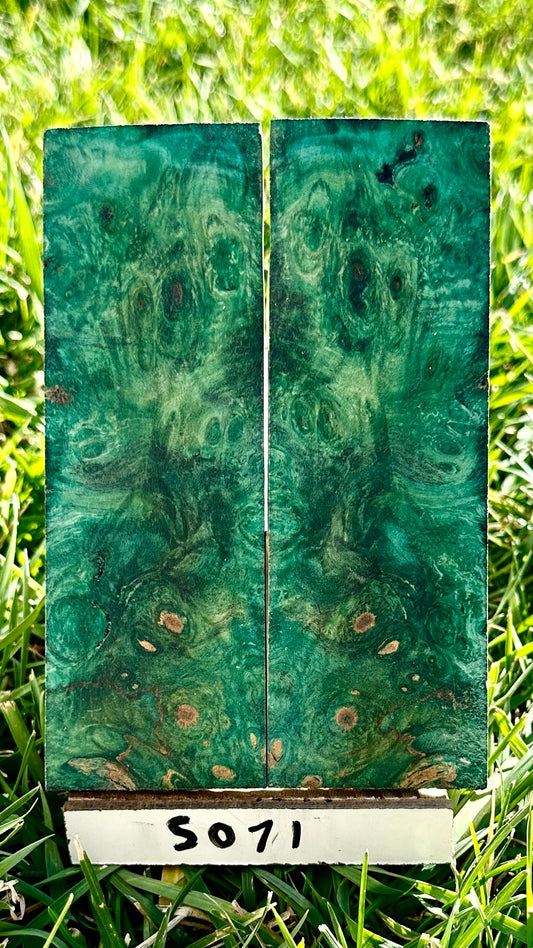 buckeye-scales-s071