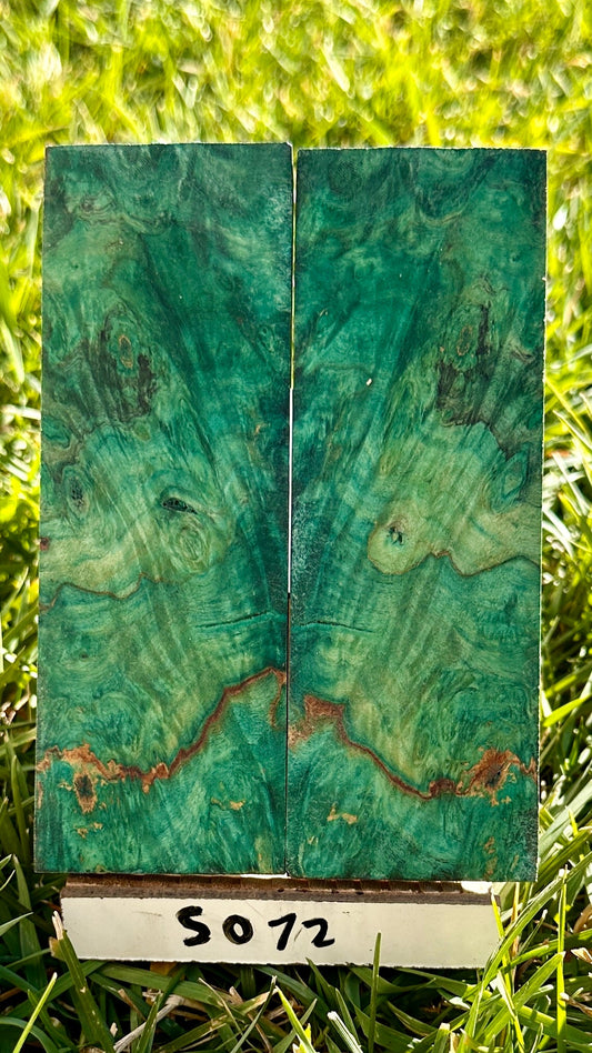 buckeye-scales-s072
