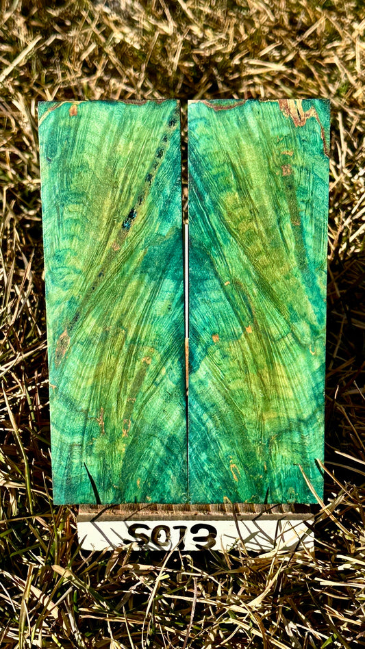 buckeye-scales-s073
