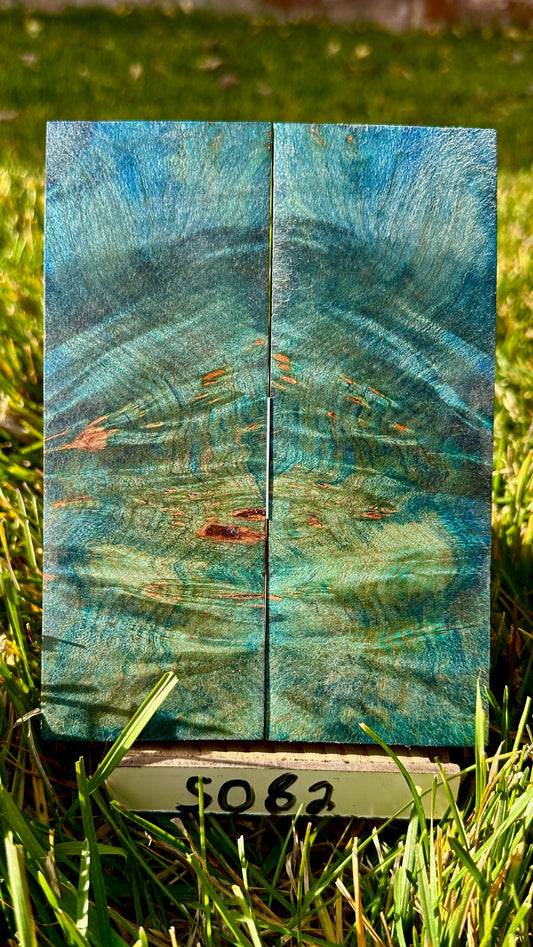 buckeye-scales-s082