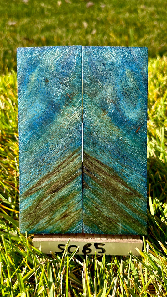 buckeye-scales-s085