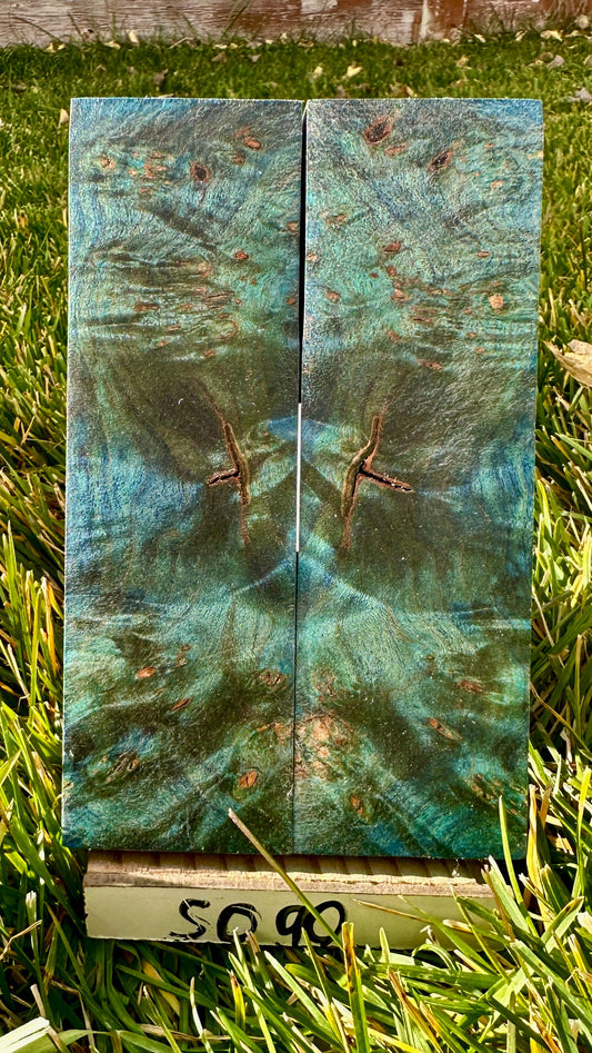 buckeye-scales-s090