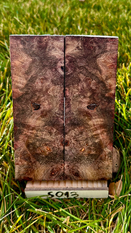 buckeye-scales-s093