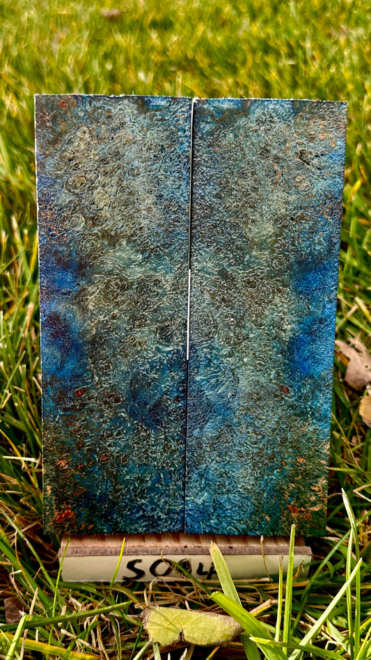 buckeye-scales-s094
