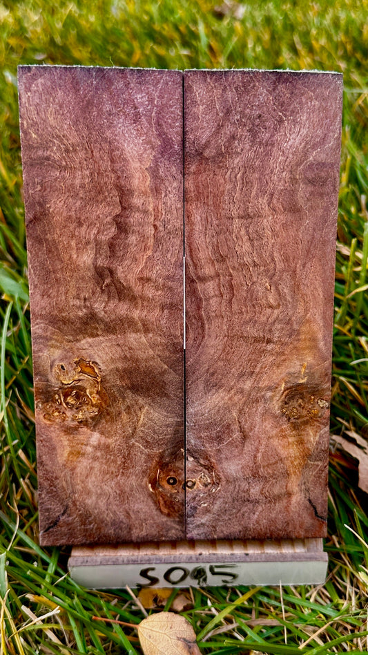 buckeye-scales-s095