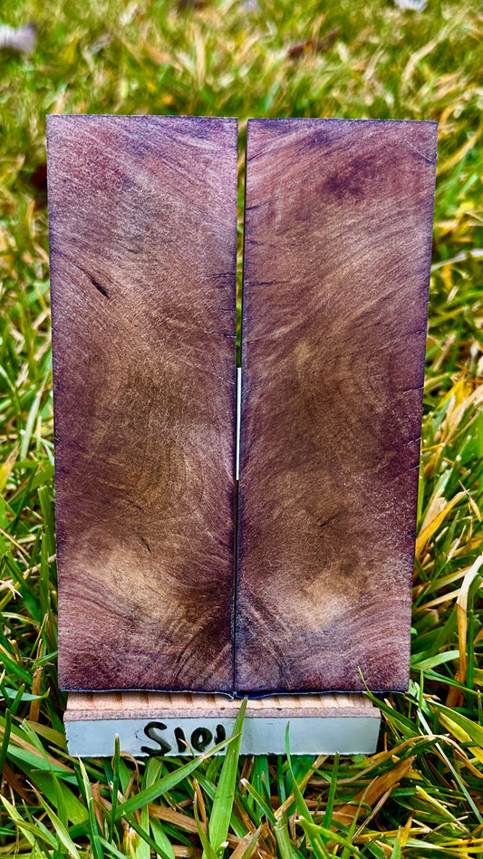 buckeye-scales-s101