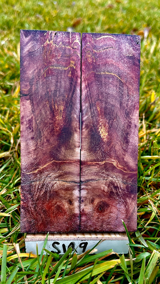 buckeye-scales-s109