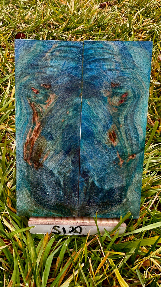 buckeye-scales-s120
