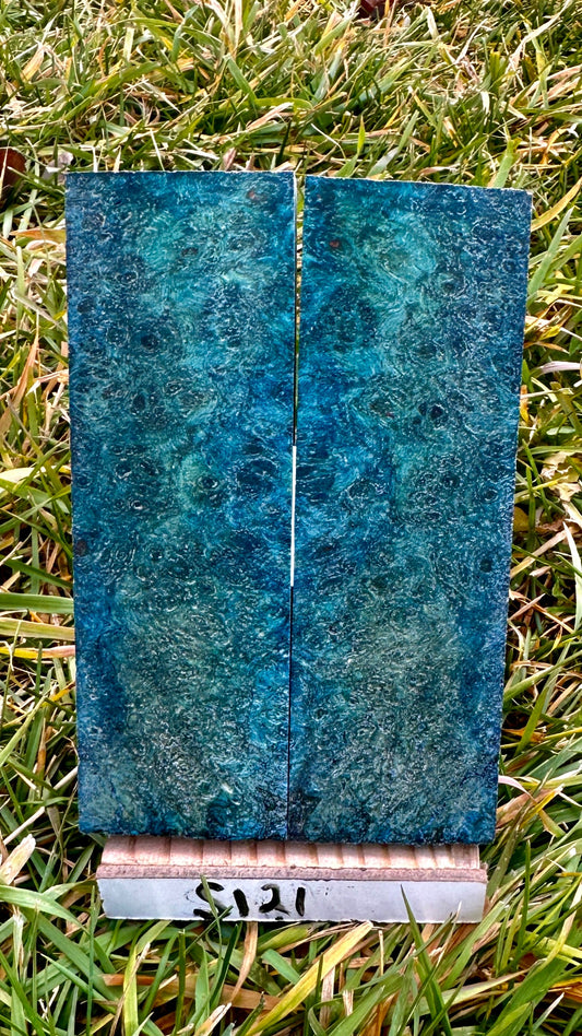 buckeye-scales-s121