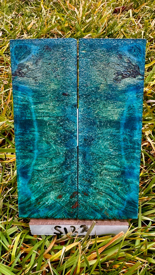 buckeye-scales-s122