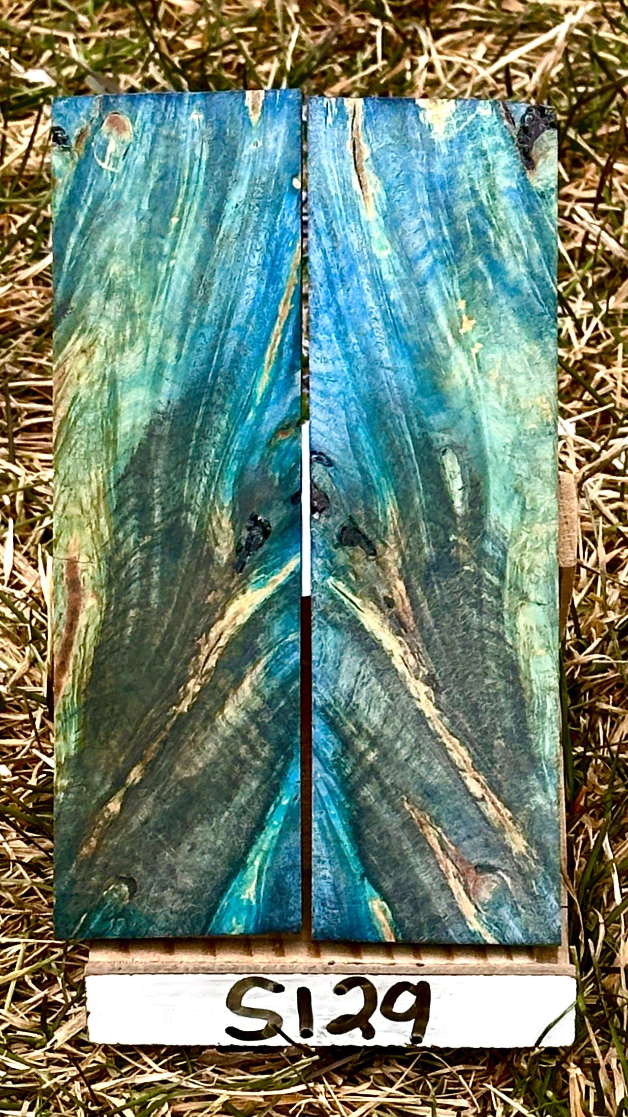 buckeye-scales-s129