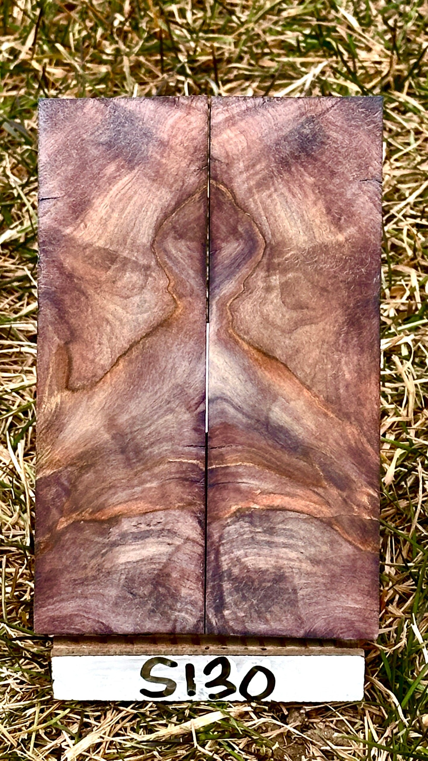 buckeye-scales-s130