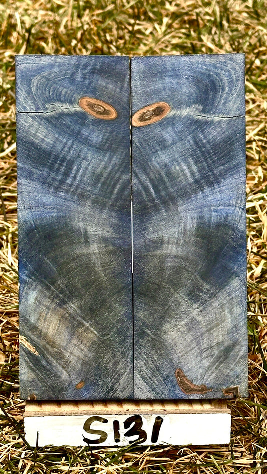 buckeye-scales-s131