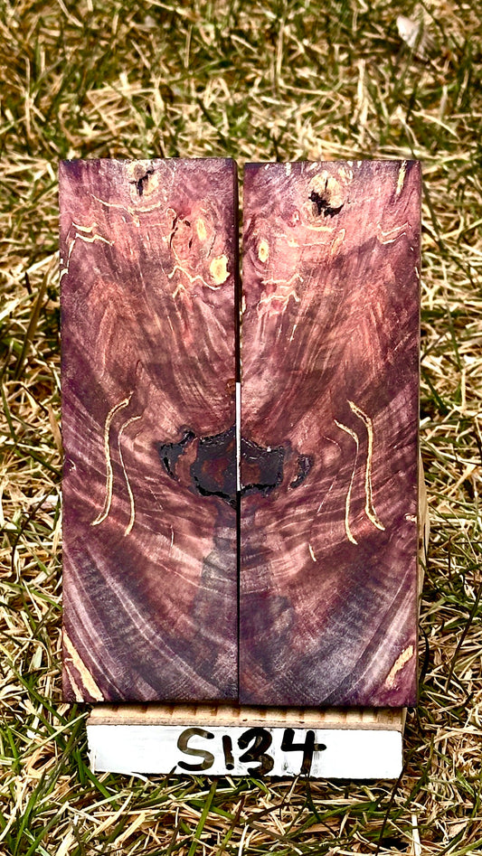 buckeye-scales-s134
