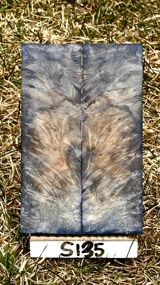 buckeye-scales-s135