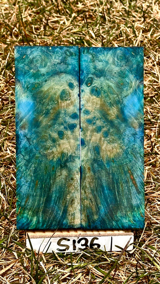 buckeye-scales-s136