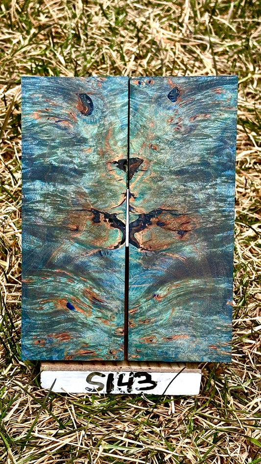 buckeye-scales-s143