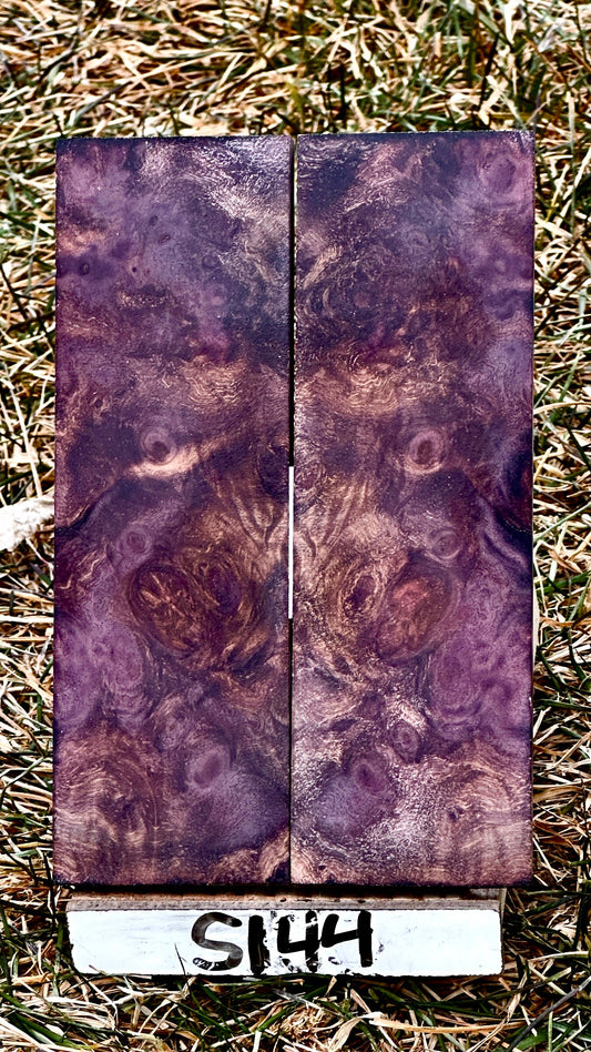 buckeye-scales-s144