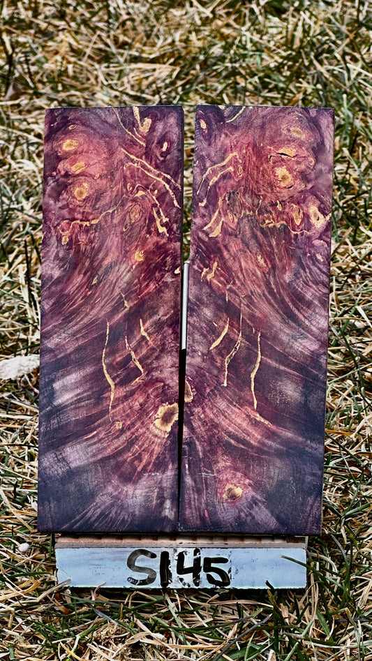 buckeye-scales-s145