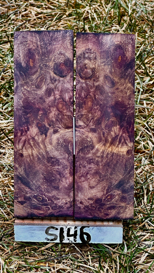 buckeye-scales-s146