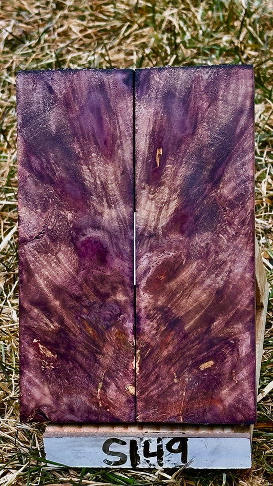 buckeye-scales-s149