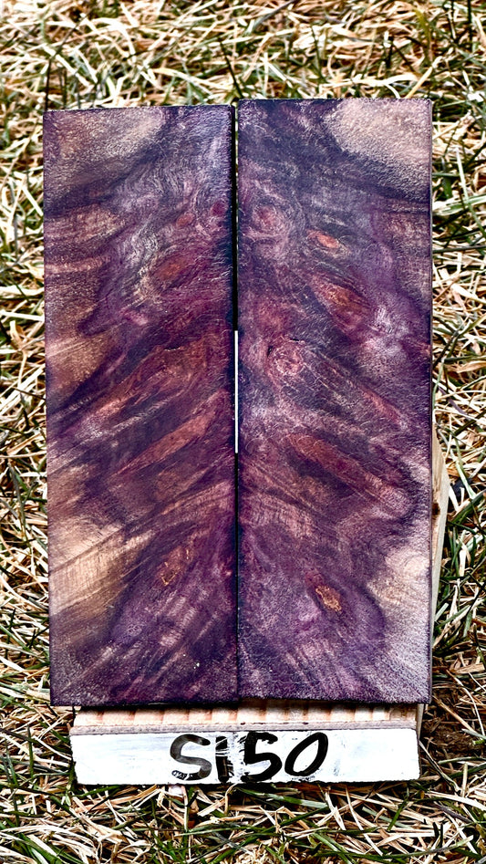 buckeye-scales-s150