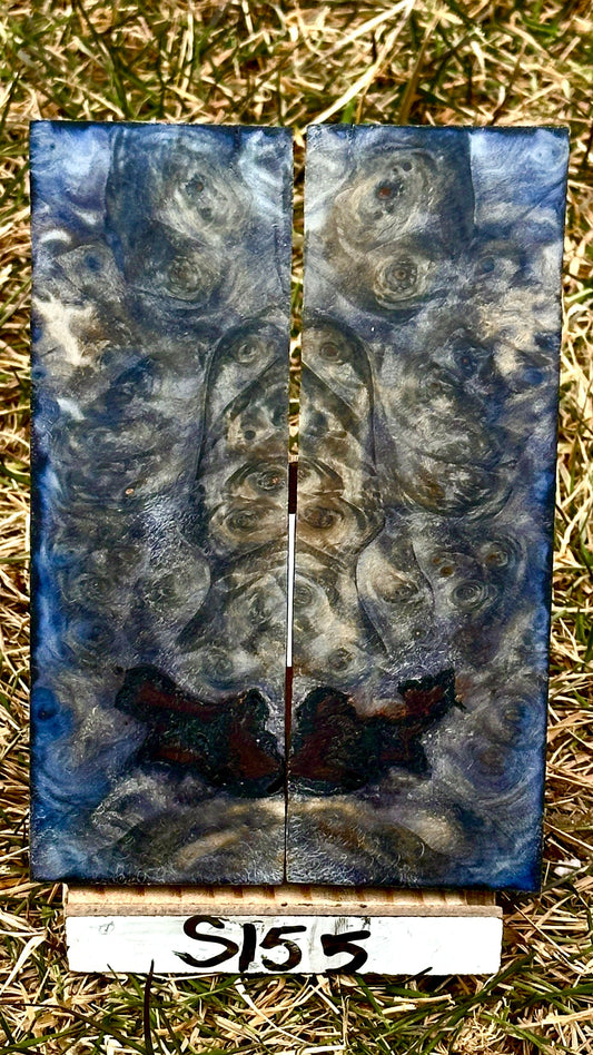 buckeye-scales-s155