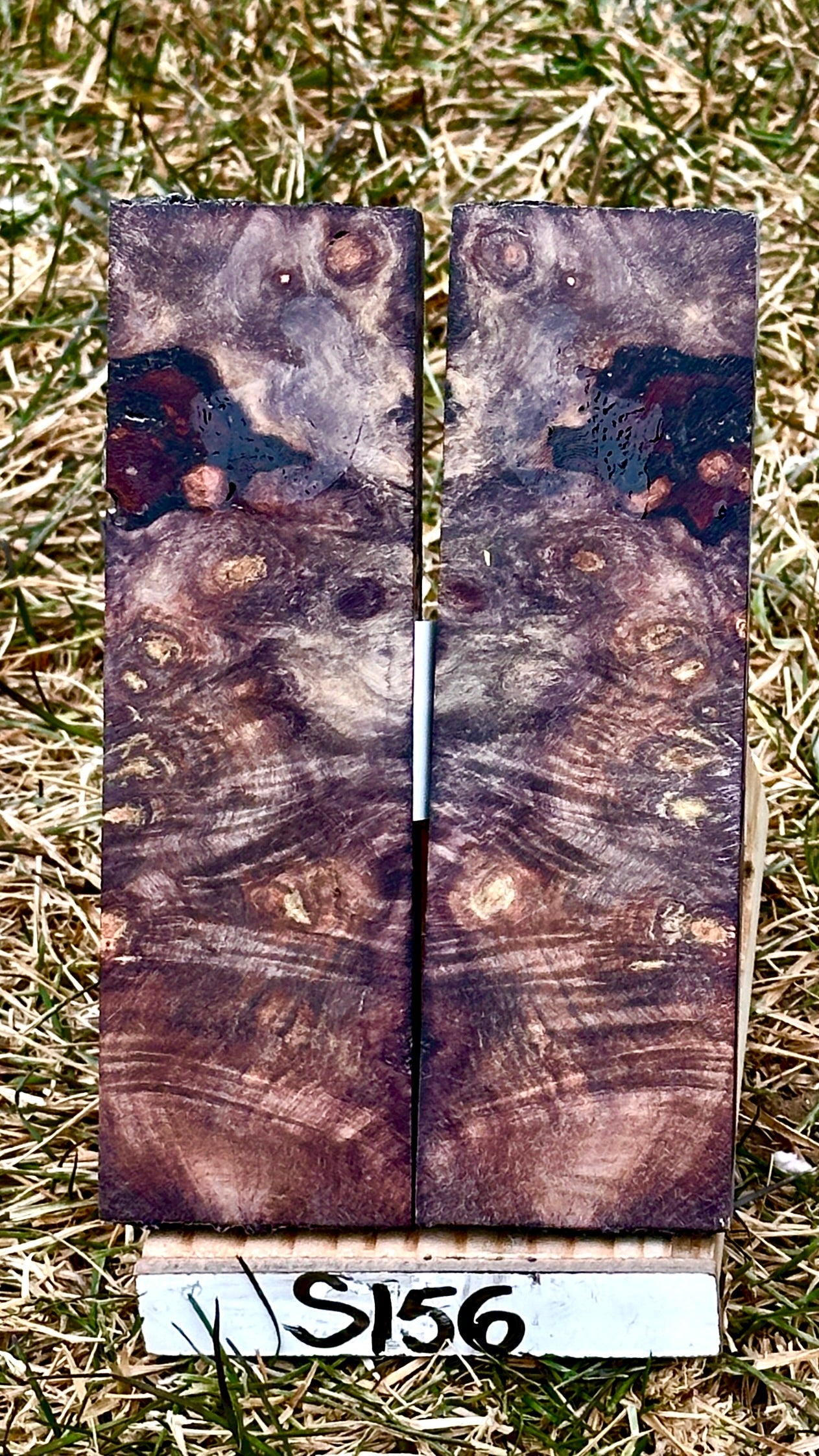 buckeye-scales-s156