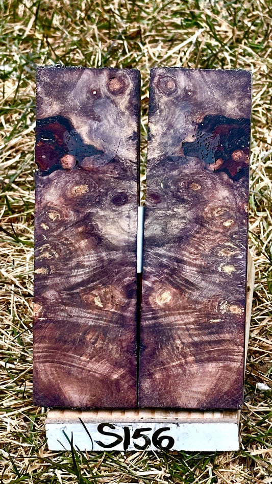 buckeye-scales-s156