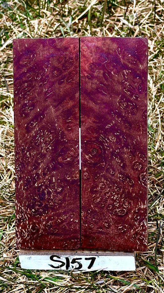 java-scales-s157