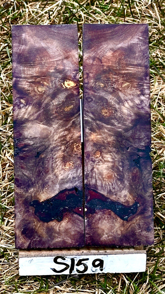 buckeye-scales-s159