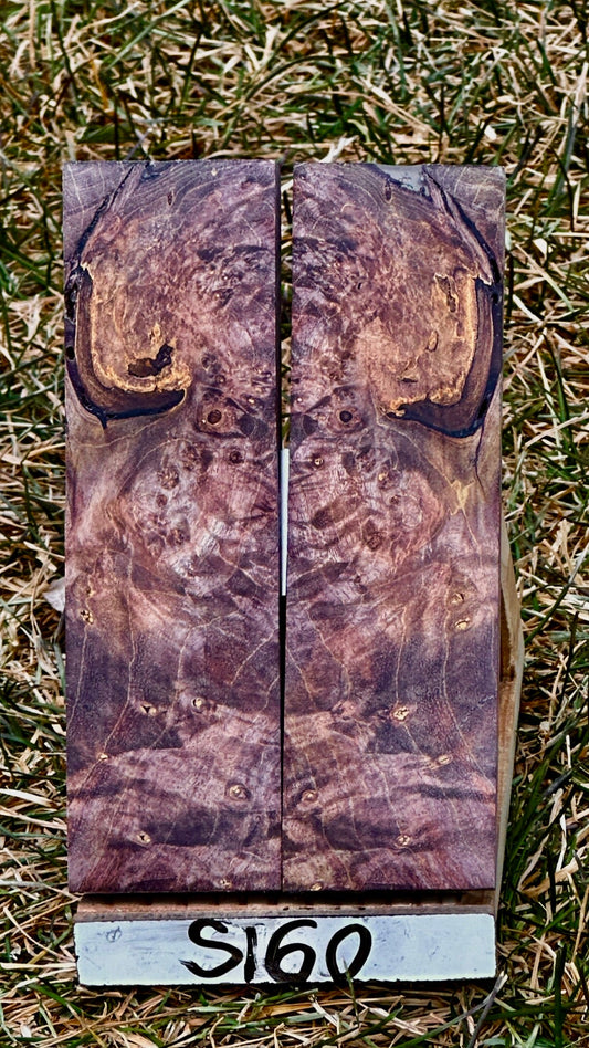 buckeye-scales-s160