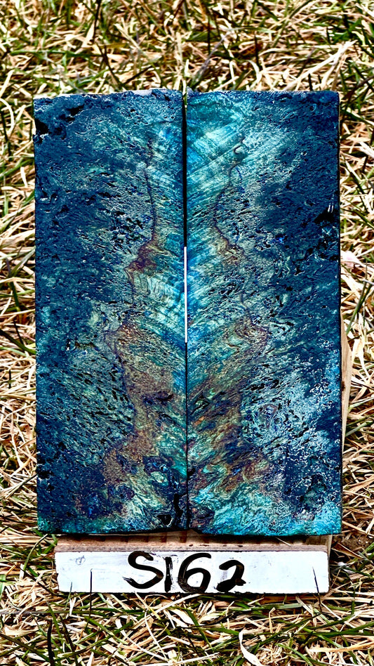 buckeye-scales-s162