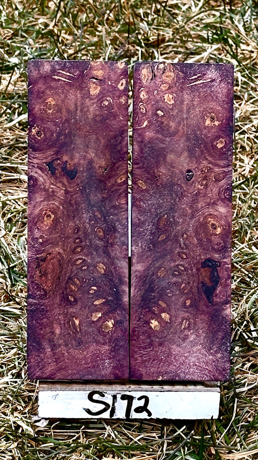 buckeye-scales-s172