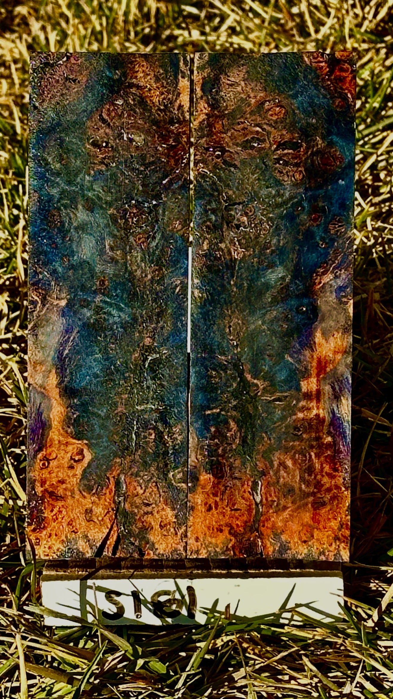 buckeye-scales-s181