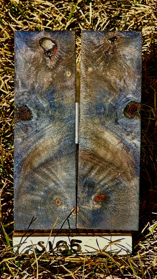 buckeye-scales-s185