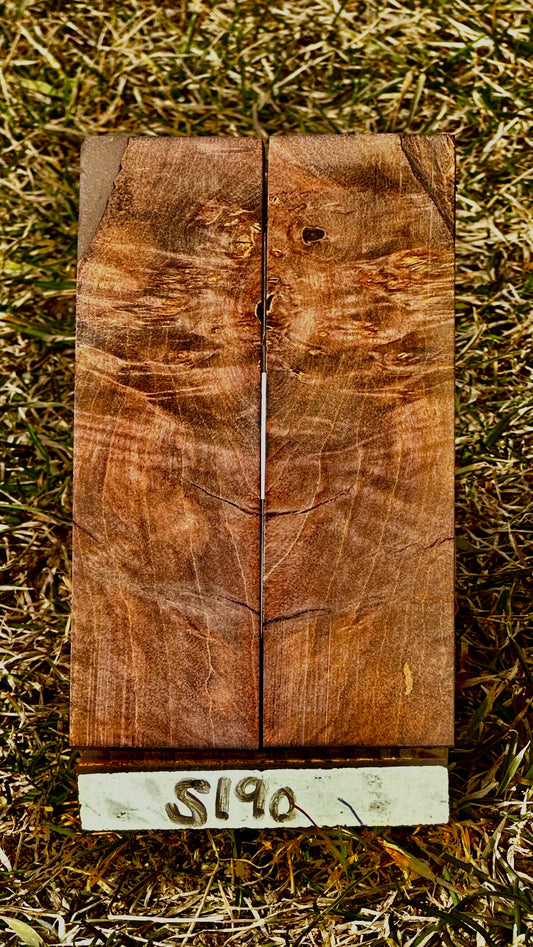 buckeye-scales-s190