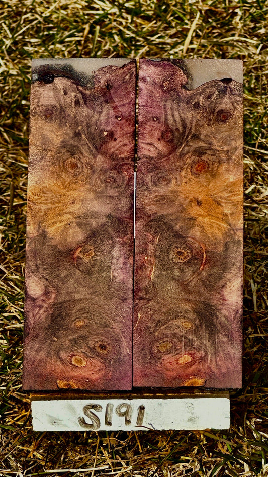 buckeye-scales-s191