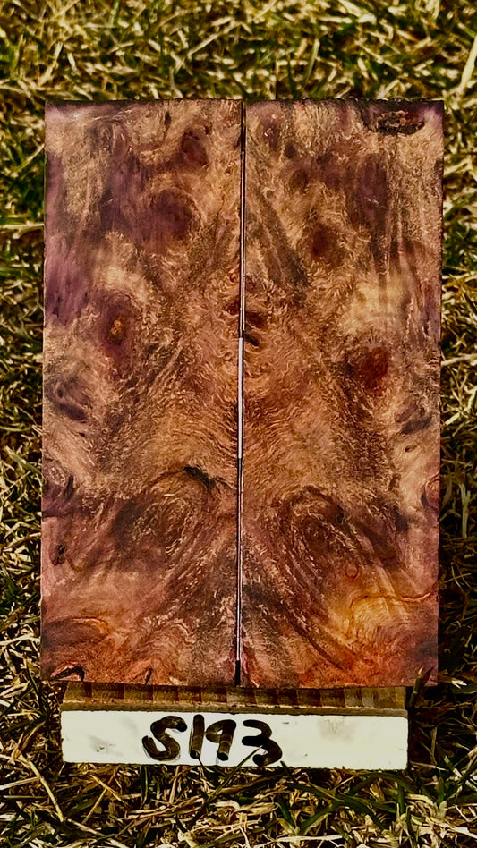 buckeye-scales-s193