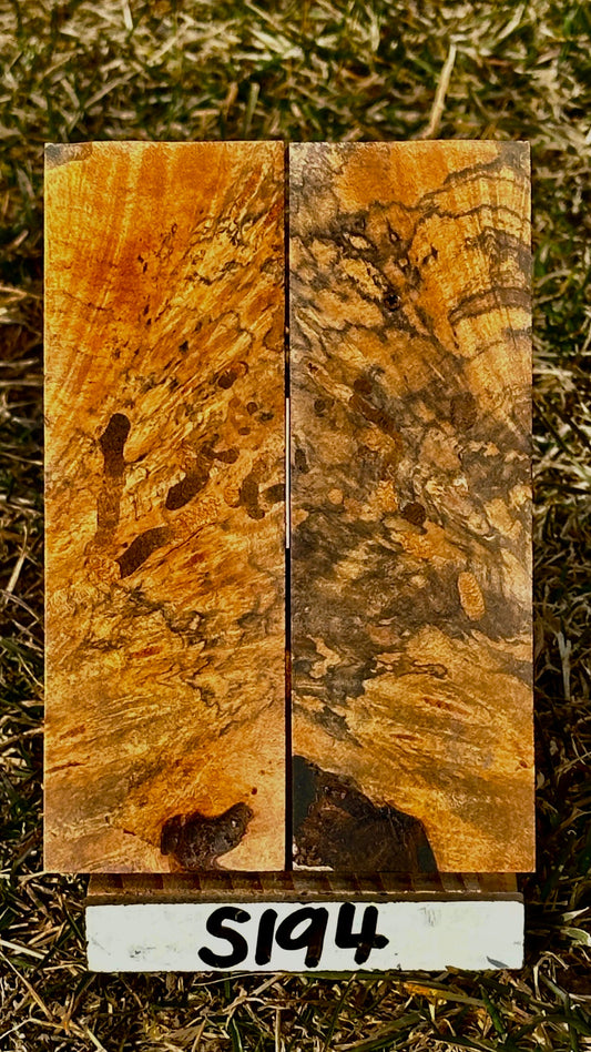 buckeye-scales-s194