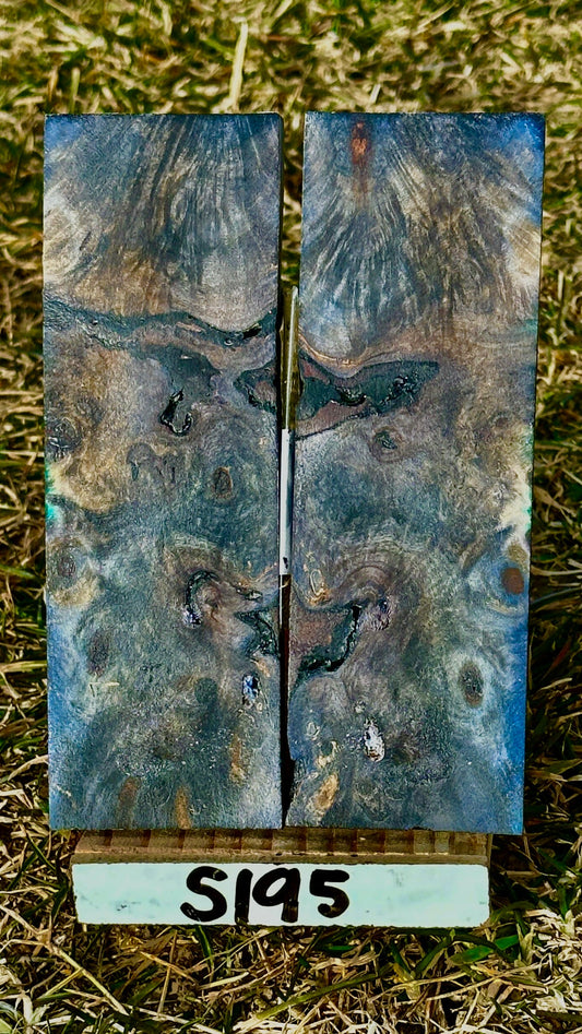 buckeye-scales-s195