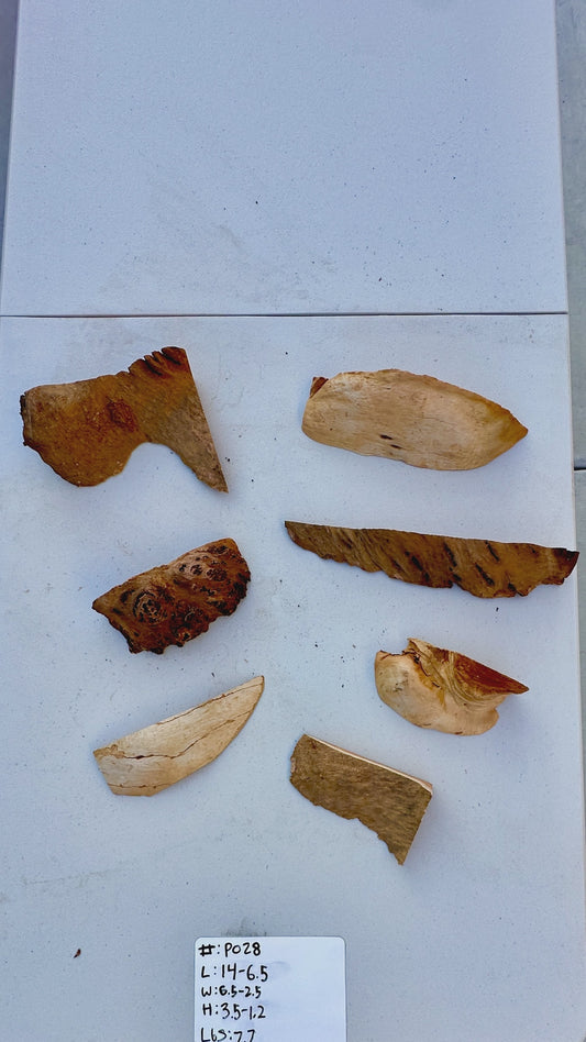 Red Gum Burl Multi Sets #P028