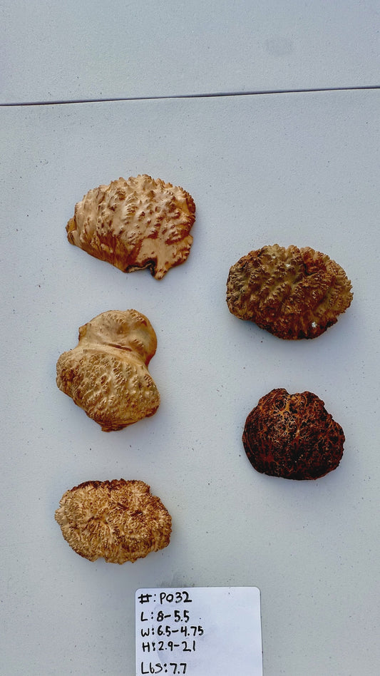 Red Mallee Burl Multi Sets #P032