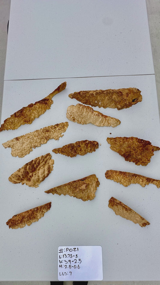 Brown Mallee Burl Multi Sets #P021