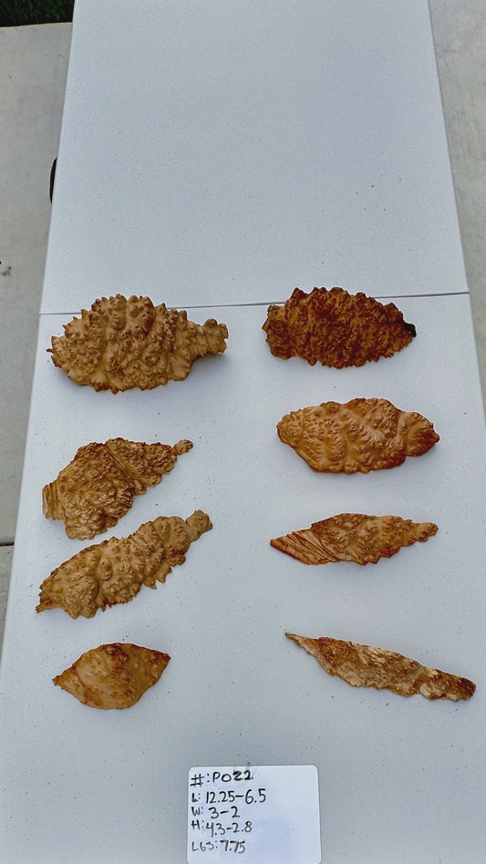 Red Mallee Burl Multi Sets #P022