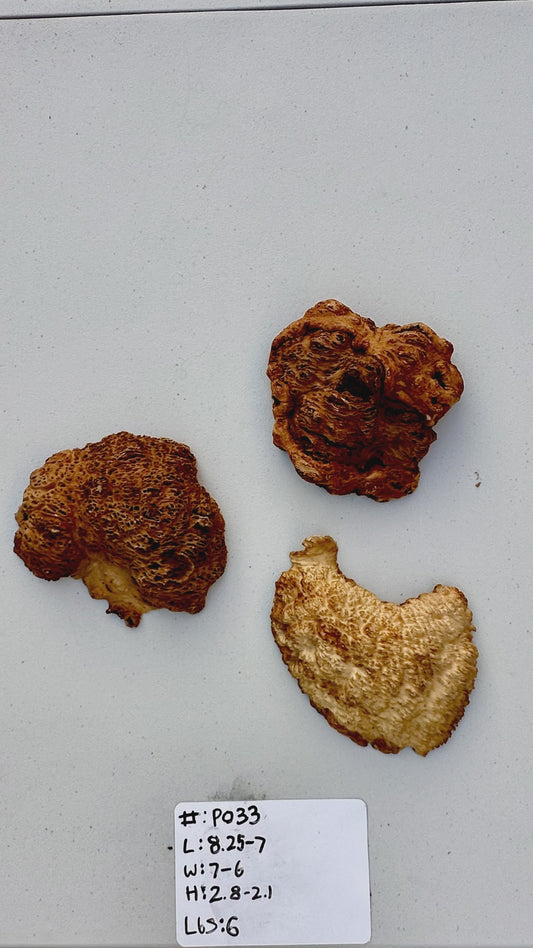 Brown Mallee Burl Multi Sets #P033