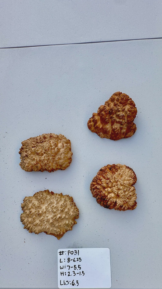 Red Mallee Burl Multi Sets #P031